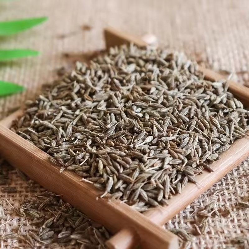 Cumin Seeds Supplier in India