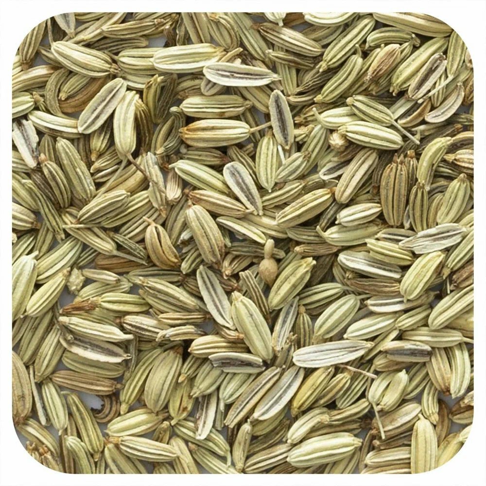 Fennel Seeds Exporter from India
